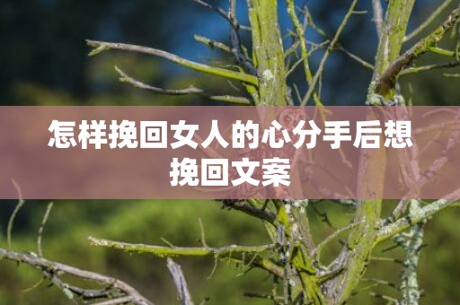 怎样挽回女人的心分手后想挽回文案