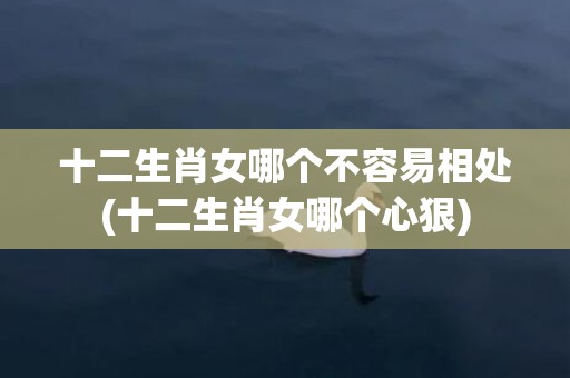 十二生肖女哪个不容易相处(十二生肖女哪个心狠)