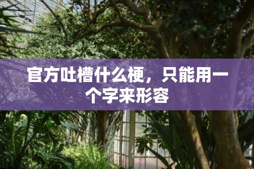 官方吐槽什么梗，只能用一个字来形容
