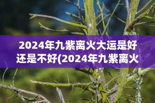2024年九紫离火大运是好还是不好(2024年九紫离火运什么人行运)