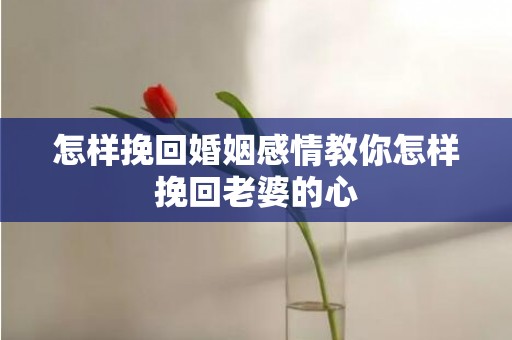 怎样挽回婚姻感情教你怎样挽回老婆的心
