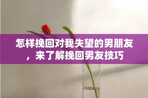 怎样挽回对我失望的男朋友，来了解挽回男友技巧