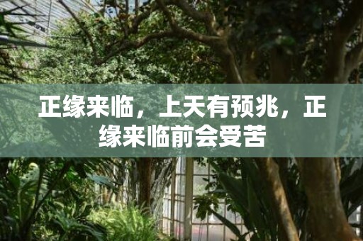 正缘来临，上天有预兆，正缘来临前会受苦