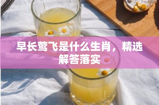 早长莺飞是什么生肖，精选解答落实
