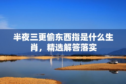 半夜三更偷东西指是什么生肖，精选解答落实