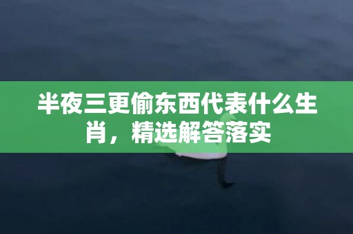 半夜三更偷东西代表什么生肖，精选解答落实
