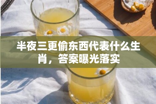 半夜三更偷东西代表什么生肖，答案曝光落实