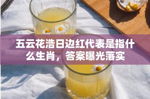 五云花浩日边红代表是指什么生肖，答案曝光落实