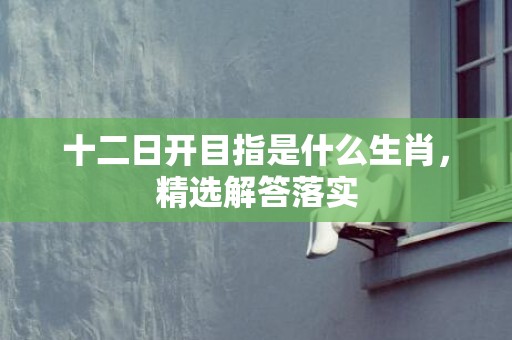 十二日开目指是什么生肖，精选解答落实
