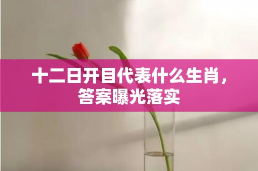 十二日开目代表什么生肖，答案曝光落实