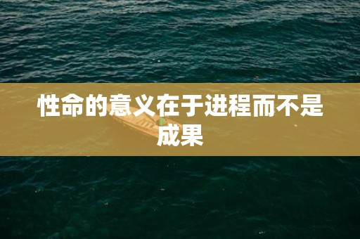 性命的意义在于进程而不是成果