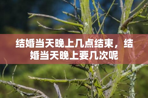 结婚当天晚上几点结束，结婚当天晚上要几次呢