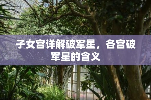 子女宫详解破军星，各宫破军星的含义