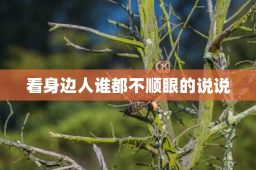 看身边人谁都不顺眼的说说