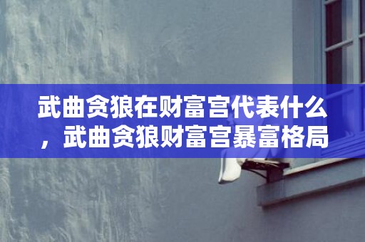 武曲贪狼在财富宫代表什么，武曲贪狼财富宫暴富格局