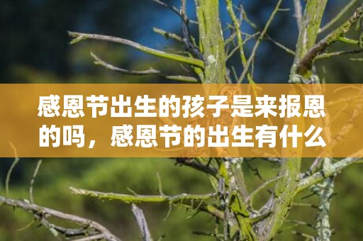 感恩节出生的孩子是来报恩的吗，感恩节的出生有什么意义，