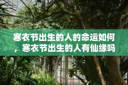 寒衣节出生的人的命运如何，寒衣节出生的人有仙缘吗，