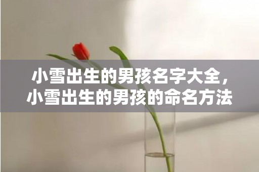 小雪出生的男孩名字大全，小雪出生的男孩的命名方法是什么，