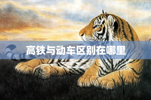 高铁与动车区别在哪里