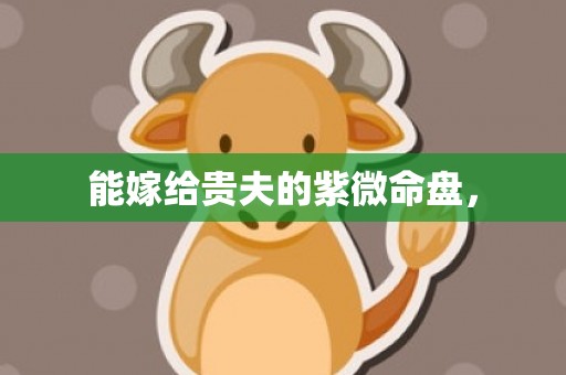 能嫁给贵夫的紫微命盘，