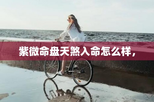 紫微命盘天煞入命怎么样，