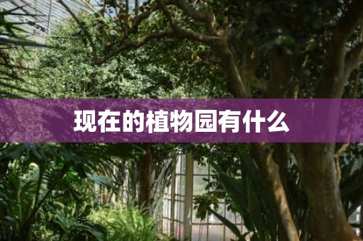 现在的植物园有什么