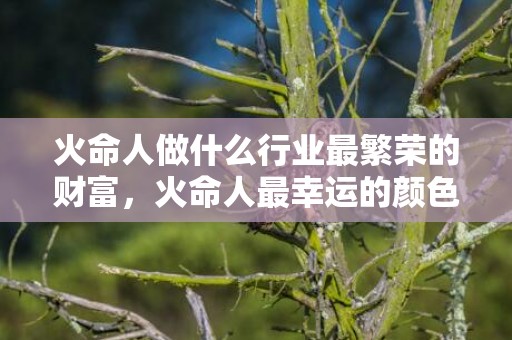火命人做什么行业最繁荣的财富，火命人最幸运的颜色是什么，