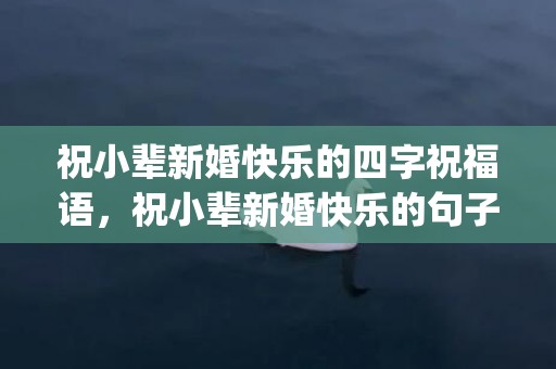 祝小辈新婚快乐的四字祝福语，祝小辈新婚快乐的句子？长辈给小辈新婚祝福(简短)