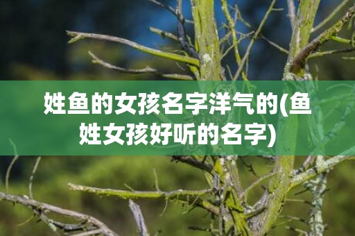 姓鱼的女孩名字洋气的(鱼姓女孩好听的名字)