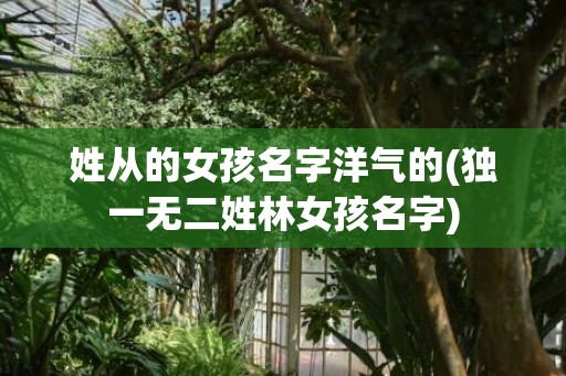 姓从的女孩名字洋气的(独一无二姓林女孩名字)