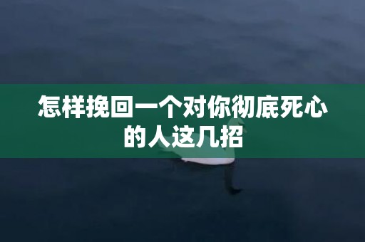 怎样挽回一个对你彻底死心的人这几招