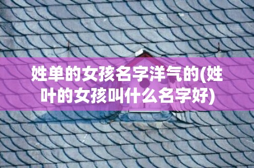 姓单的女孩名字洋气的(姓叶的女孩叫什么名字好)