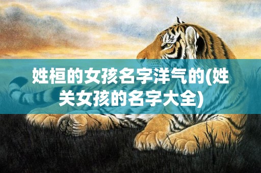 姓桓的女孩名字洋气的(姓关女孩的名字大全)