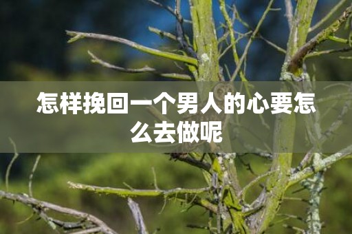 怎样挽回一个男人的心要怎么去做呢