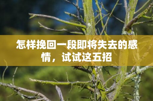 怎样挽回一段即将失去的感情，试试这五招