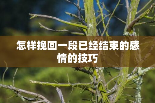 怎样挽回一段已经结束的感情的技巧
