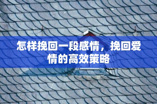 怎样挽回一段感情，挽回爱情的高效策略