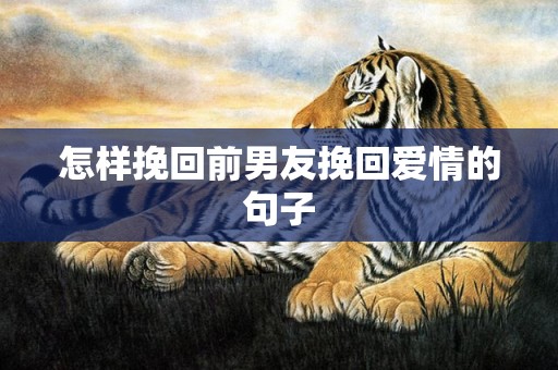 怎样挽回前男友挽回爱情的句子