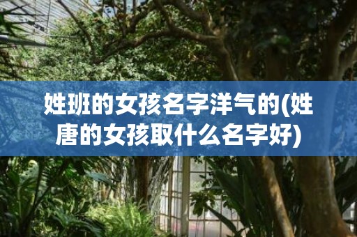姓班的女孩名字洋气的(姓唐的女孩取什么名字好)