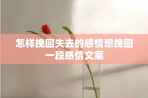 怎样挽回失去的感情想挽回一段感情文案