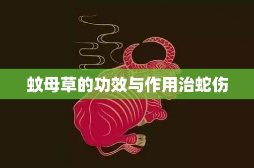 蚊母草的功效与作用治蛇伤