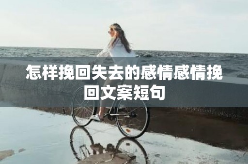 怎样挽回失去的感情感情挽回文案短句