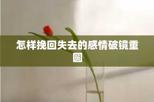 怎样挽回失去的感情破镜重圆