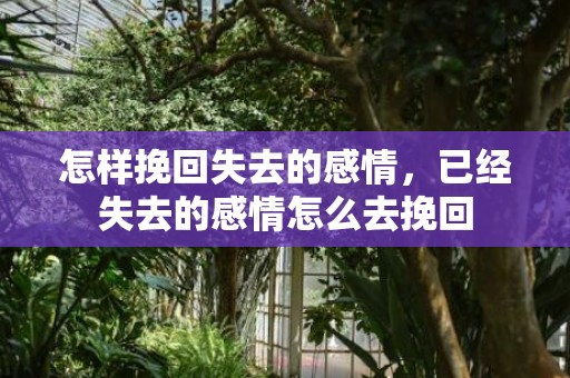 怎样挽回失去的感情，已经失去的感情怎么去挽回