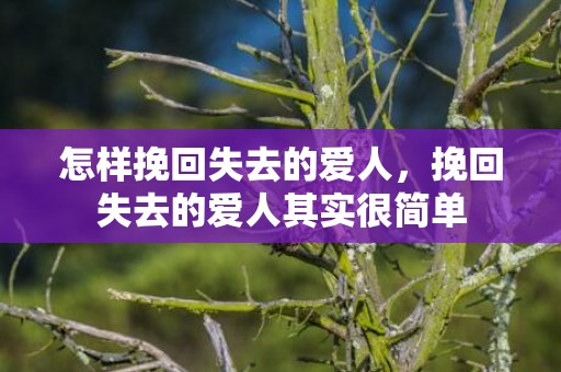 怎样挽回失去的爱人，挽回失去的爱人其实很简单