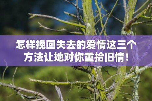 怎样挽回失去的爱情这三个方法让她对你重拾旧情！