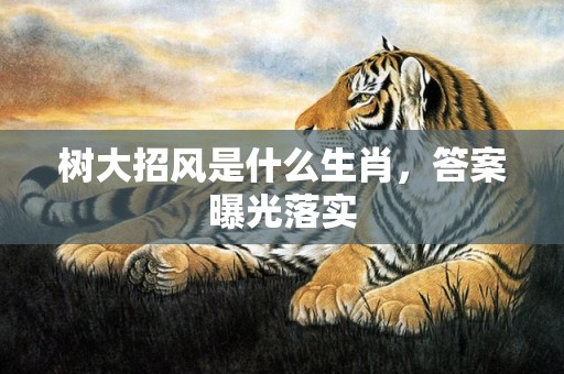树大招风是什么生肖，答案曝光落实