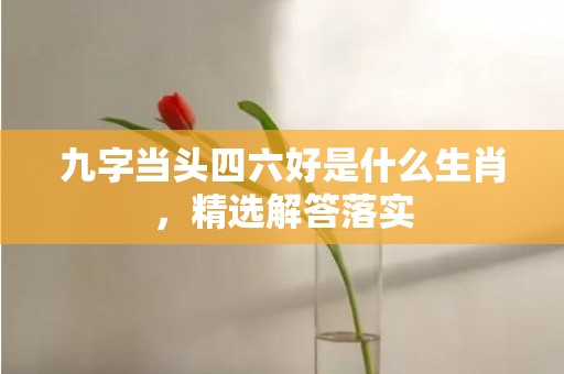 九字当头四六好是什么生肖，精选解答落实