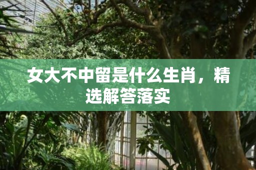 女大不中留是什么生肖，精选解答落实