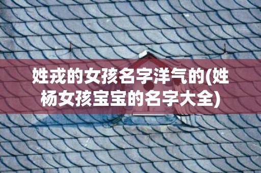 姓戎的女孩名字洋气的(姓杨女孩宝宝的名字大全)